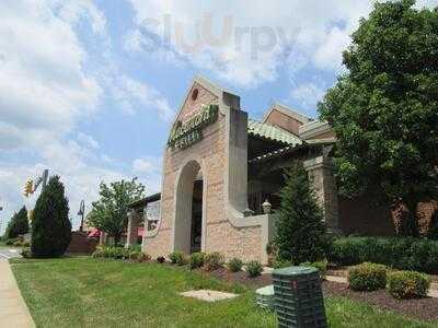 Romano's Macaroni Grill