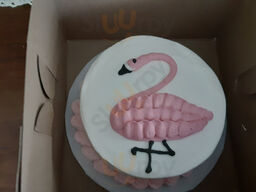 Cake Arts Supply Llc