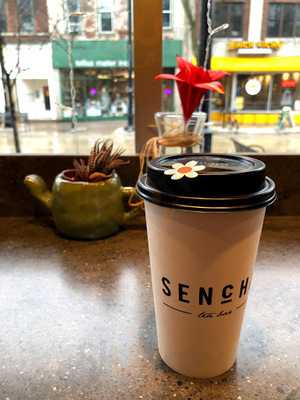 Sencha Tea Bar