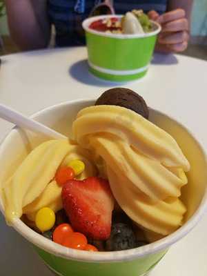 Cool Berry Frozen Yogurt