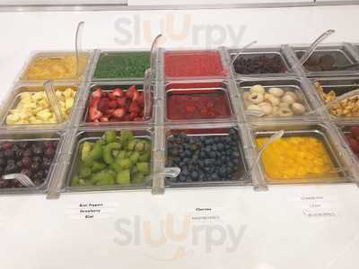 Cool Berry Frozen Yogurt