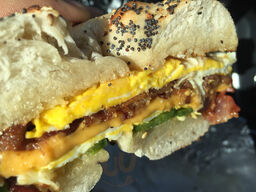 South Shore Hot Bagels