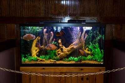 The Seafood Academy Of Columbia