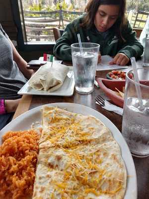 Taqueria El Poblano Iii