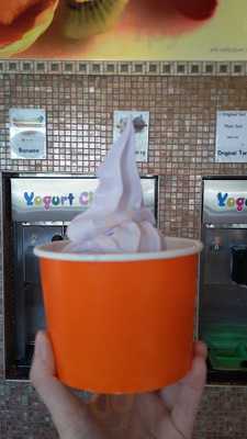 Yogurt City