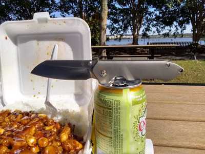 Ginger Beef Foody Goody