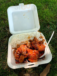 Ginger Beef Foody Goody