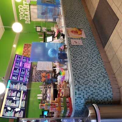 Yogo Delight
