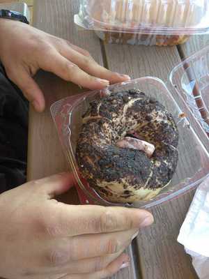Bagels R Us