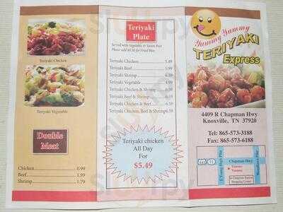 Yummy Yummy Teriyaki Express