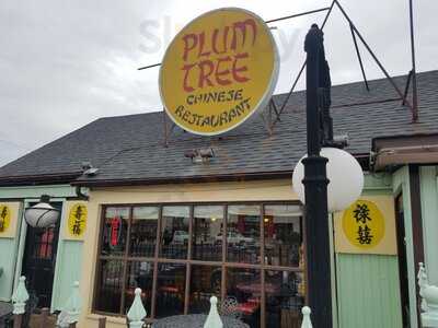 Plum Tree Chinese Restaurant