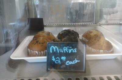 Everything Iced Cupcakes