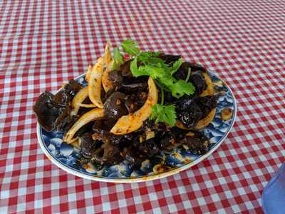 Handmade Noodle House