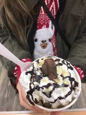 Roll In Ice Creamery