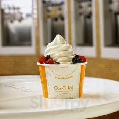 Orange Leaf Frozen Yogurt