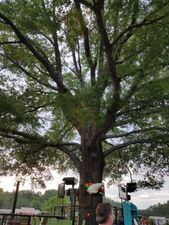 Pablo's Restaurante & Cantina