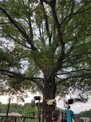 Pablo's Restaurante & Cantina