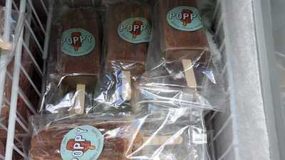 Puppy Unique Frozen Treats