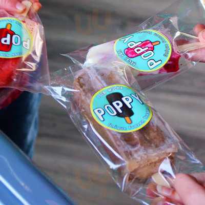 Puppy Unique Frozen Treats