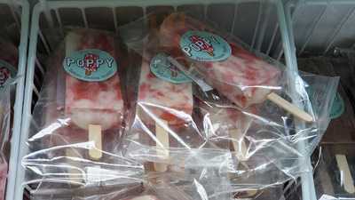 Puppy Unique Frozen Treats