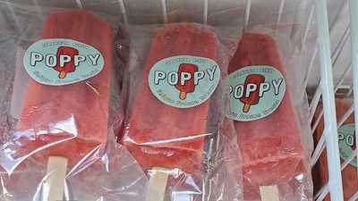 Puppy Unique Frozen Treats