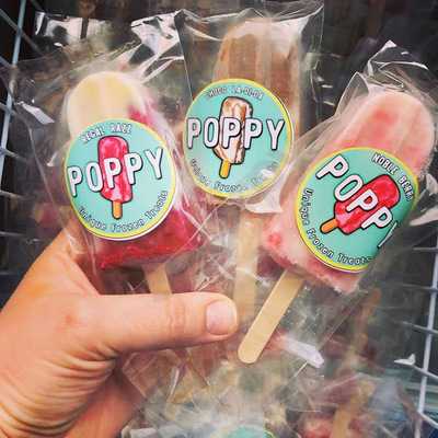 Puppy Unique Frozen Treats