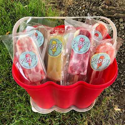 Puppy Unique Frozen Treats