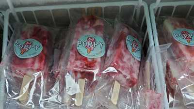 Puppy Unique Frozen Treats