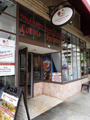 Lotus Falafel & Shawerma
