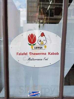 Lotus Falafel & Shawerma