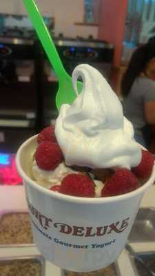 Yogurt Deluxe Flavor Of The Day