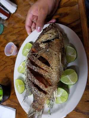 Tacos Y Mariscos La Fuente
