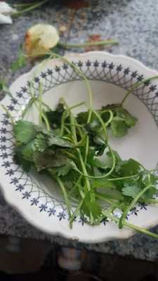 El Potrillo Restaurant And Bar