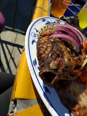 International Taqueria