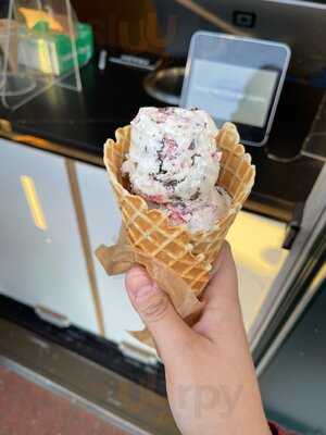 Mcconnell's Fine Ice Creams