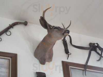 Bronco Billy's Pizza Palace