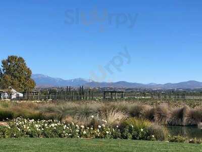 The Restaurant At Ponte