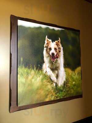 Lazy Dog Restaurant & Bar