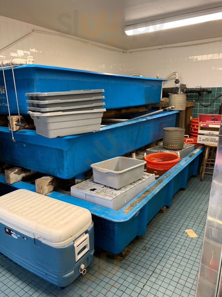 Alive And Kicking Lobsters