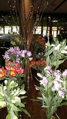 Heirloom - New Haven