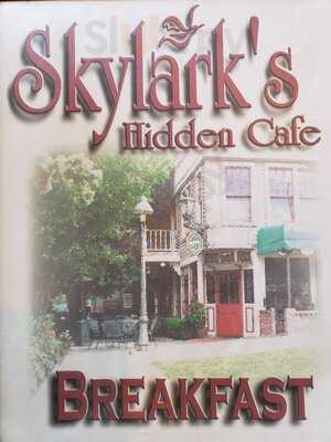 Skylarks Hidden Cafe