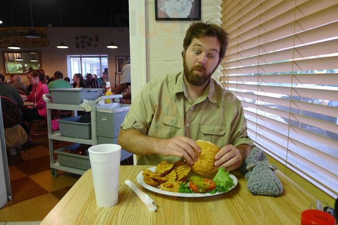 Rollin' In The Dough