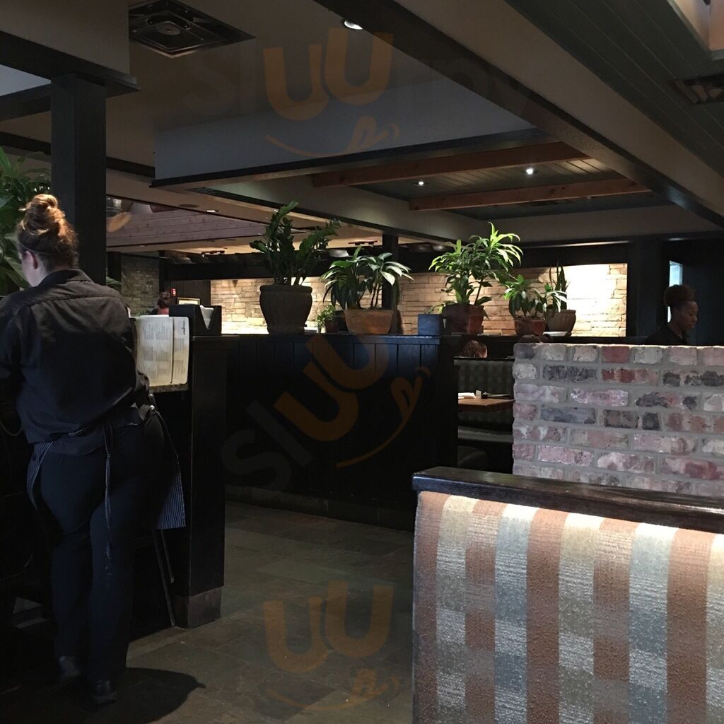 Cheddar's Scratch Kitchen