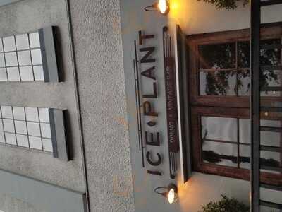 Ice Plant
