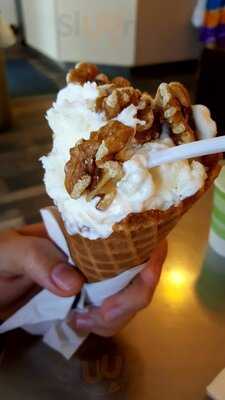 Walrus Ice Cream Co.
