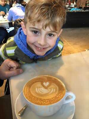 Box  Car Coffee Roasters