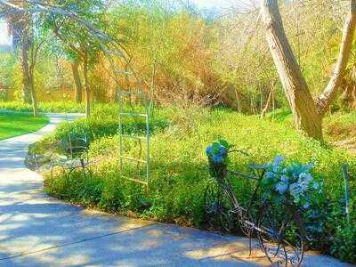 Le Chene French Cuisine