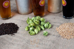 West Flanders Brewing Co.