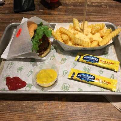 Shake Shack Harvard Square