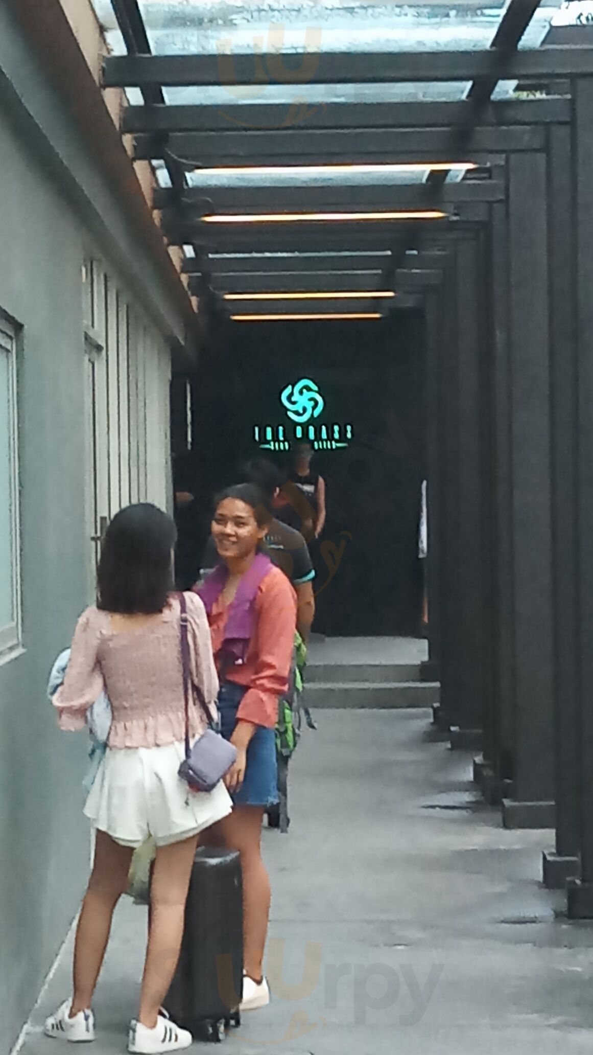 Blenders In The Grass